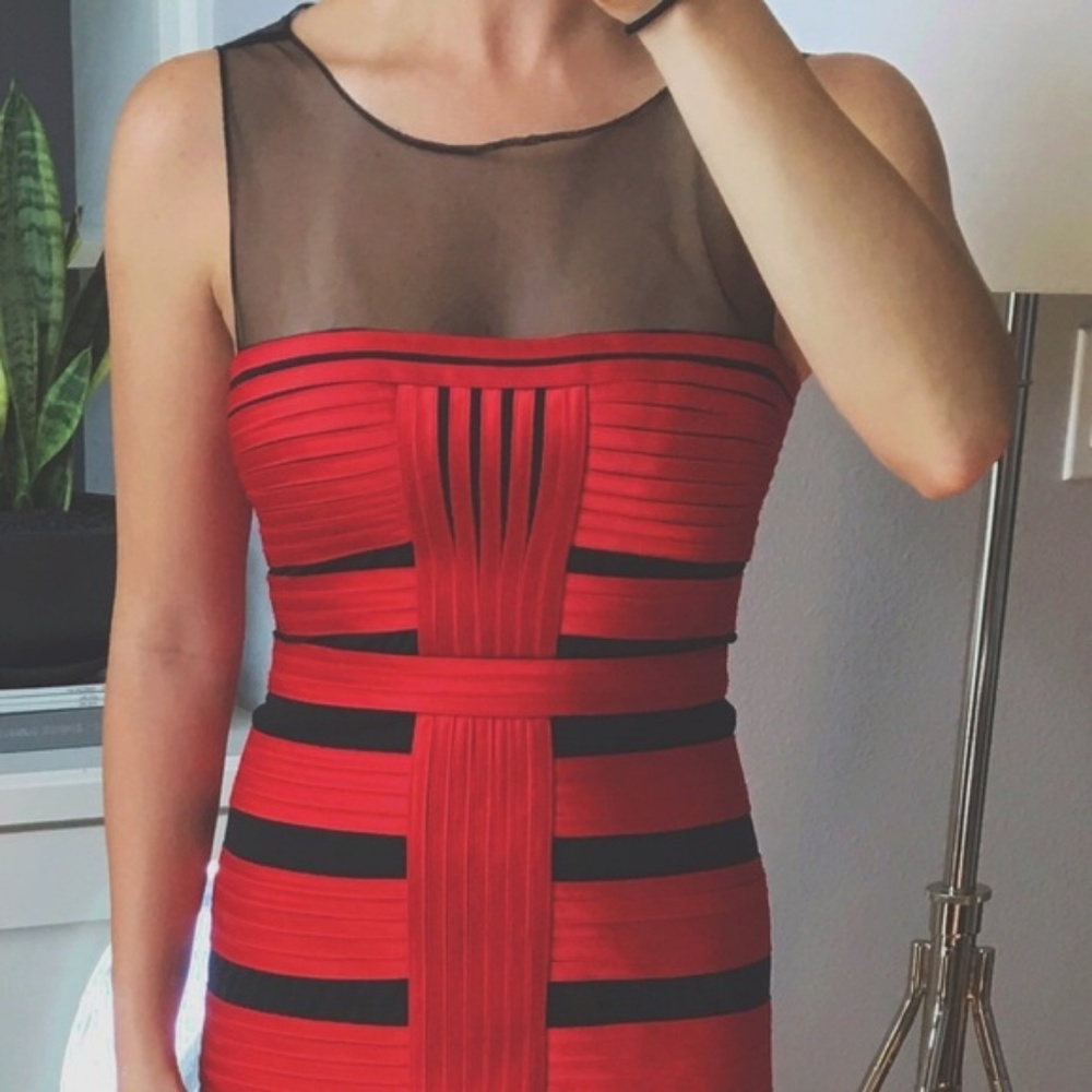 BCBG MAX AZRIA Brenda sheer paneled evening dress